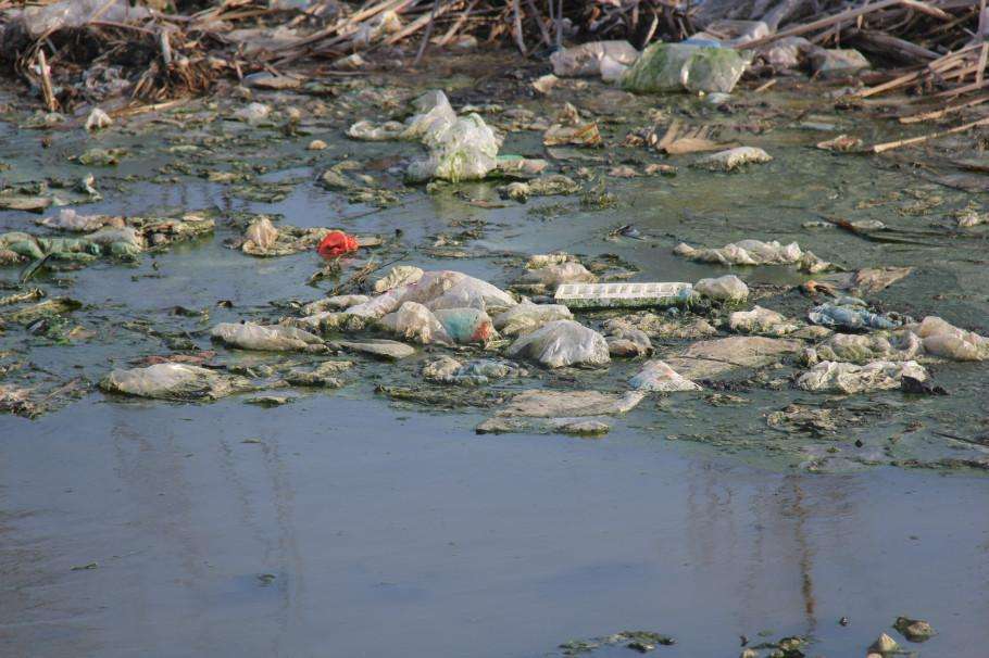 農(nóng)業(yè)廢棄物的屬性判別