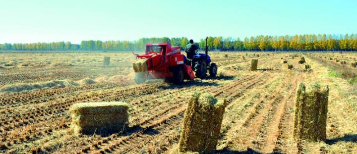 生物質(zhì)的工業(yè)基本原理
