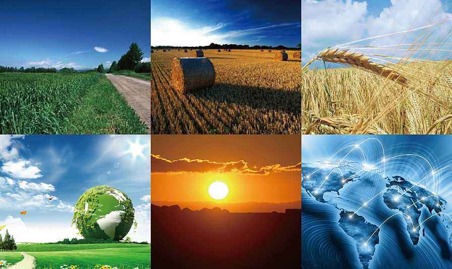 生物質(zhì)鍋爐的類型